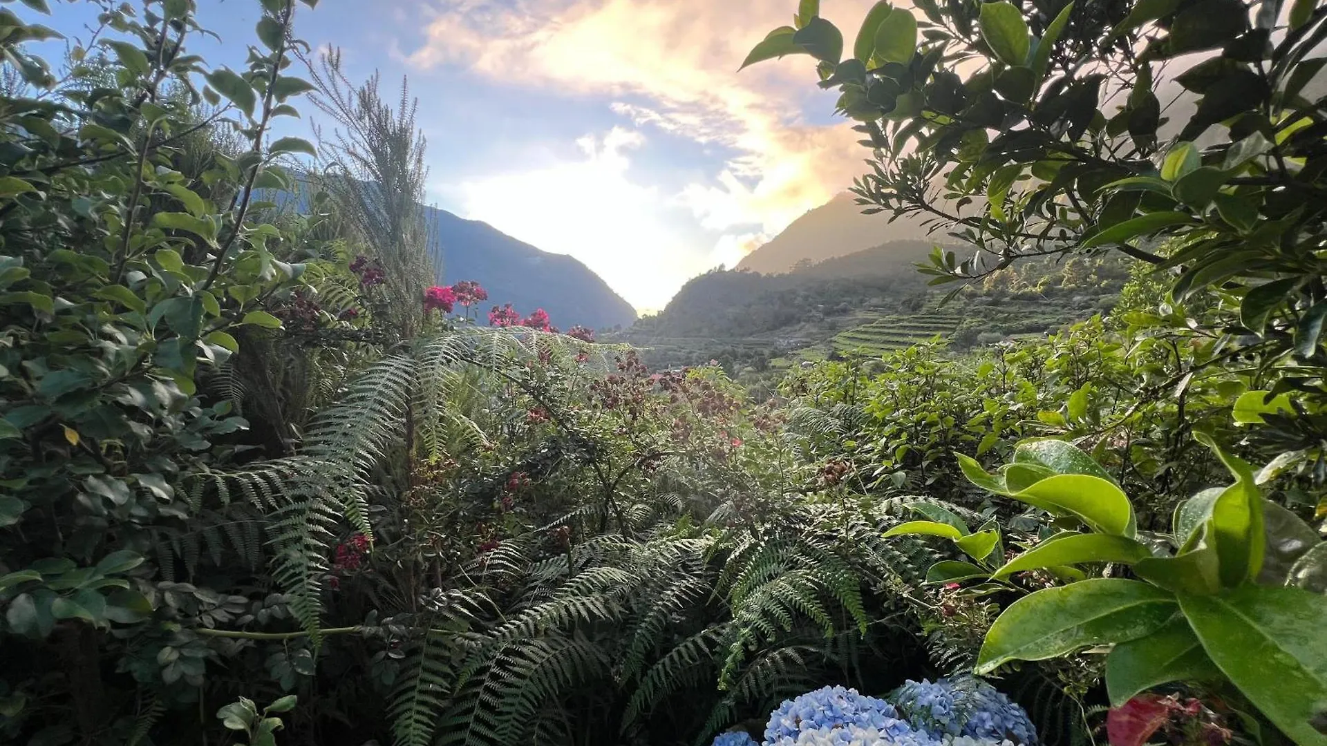 펜션 Mountain Retreat - Zembica By Atlantic Holiday São Vicente