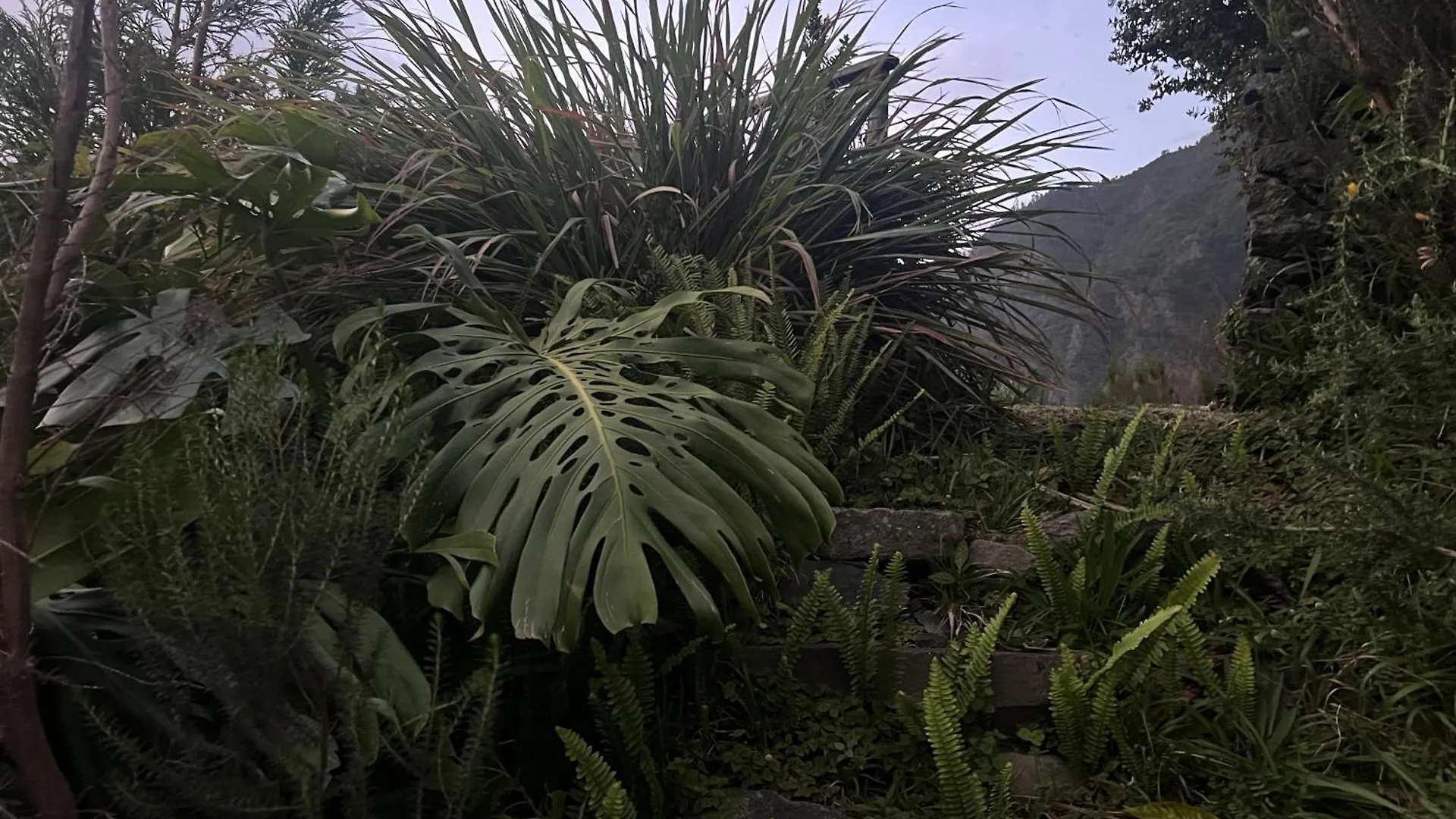 Mountain Retreat - Zembica By Atlantic Holiday São Vicente